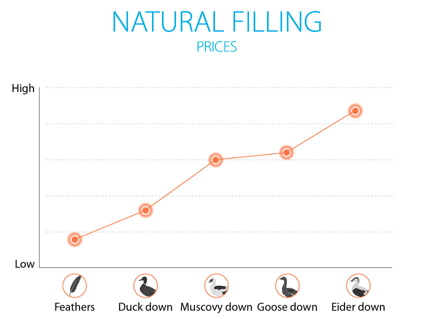 Chart showing the different kinds of natural filling for duvets 