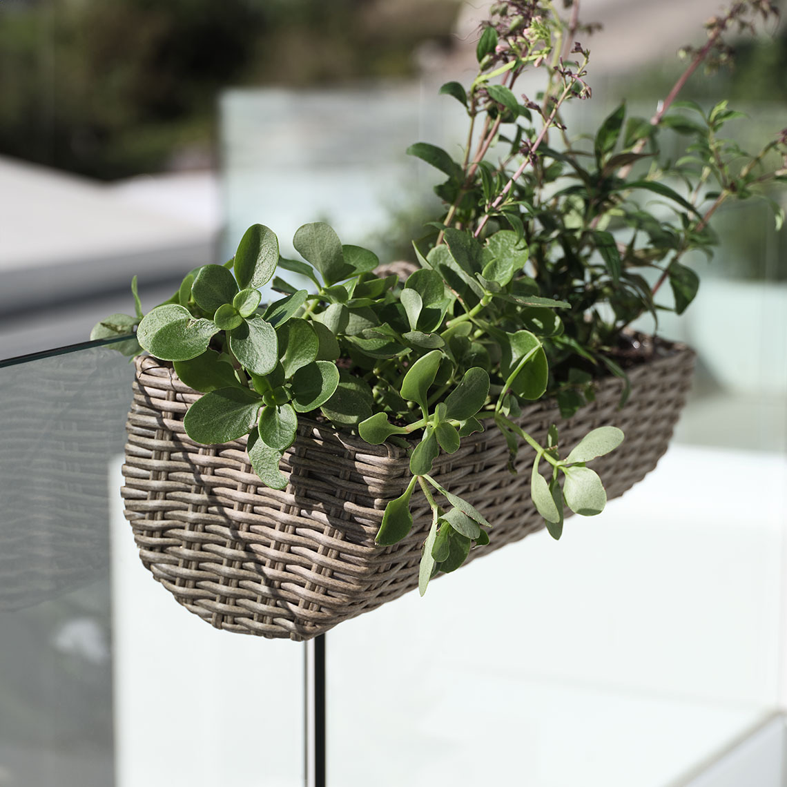 Balcony hanging planter made from maintenance-free polyrattan with green plants