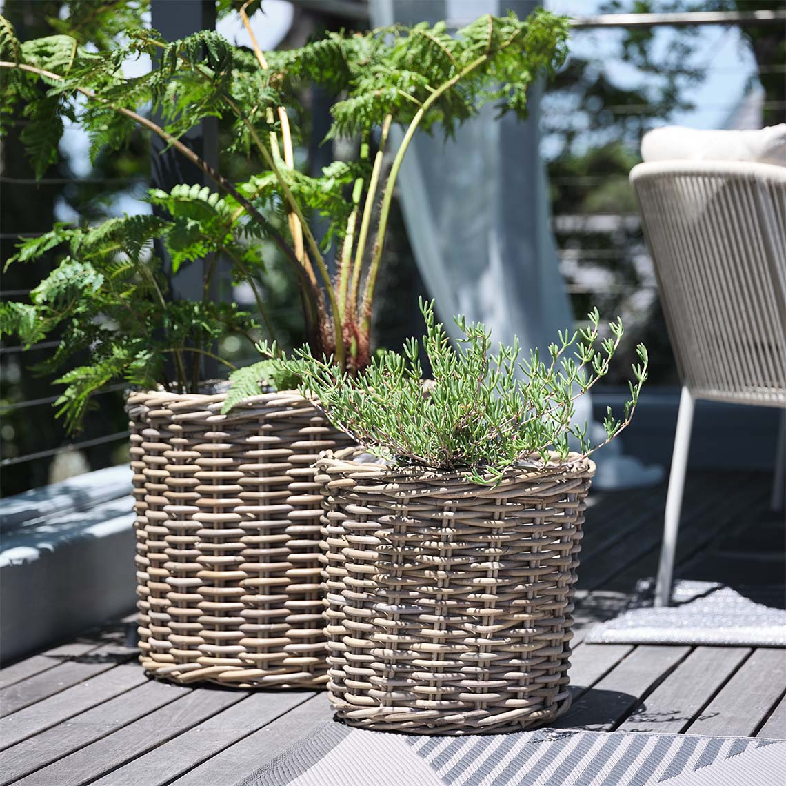 Natural rattan garden plant baskets with plants on sunlit patio