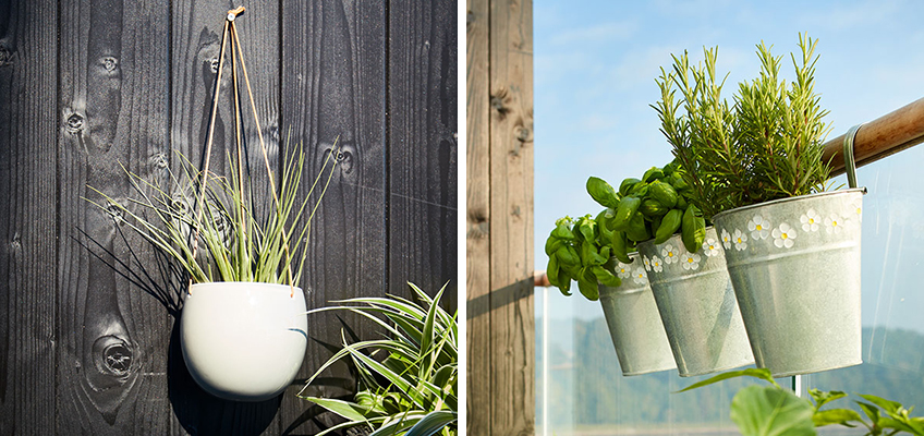 Balcony flowers, plants and hanging baskets